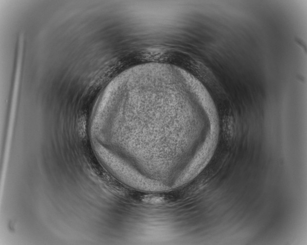 X0000103160602200809121839