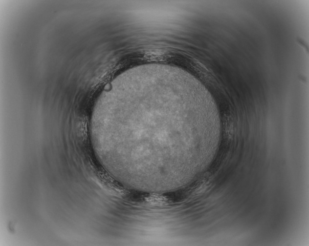 X0000103160603200809121839