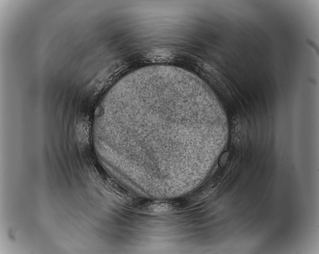 X0000103160604200809121839