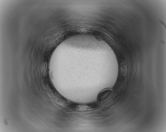 X0000103160605200809121839