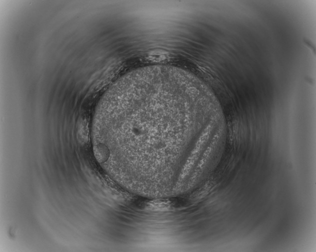 X0000103160606200809121839