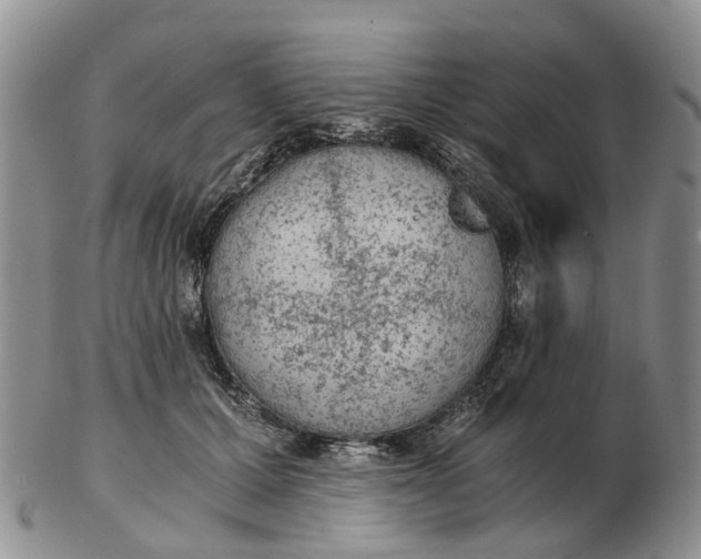 X0000103160607200809121839