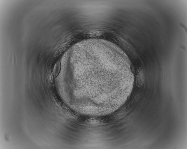 X0000103160608200809121839