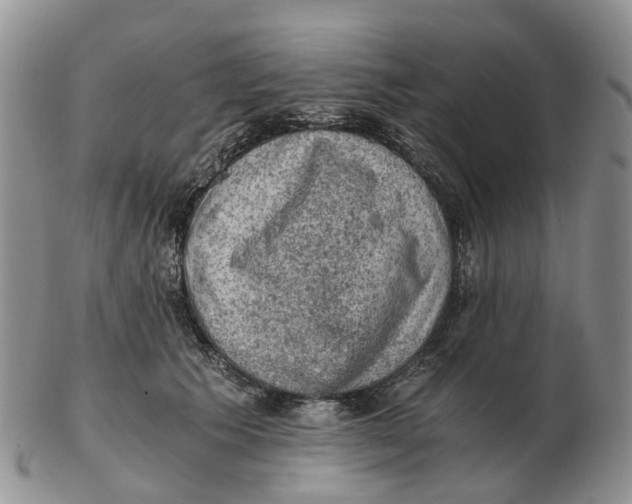 X0000103160609200809121839