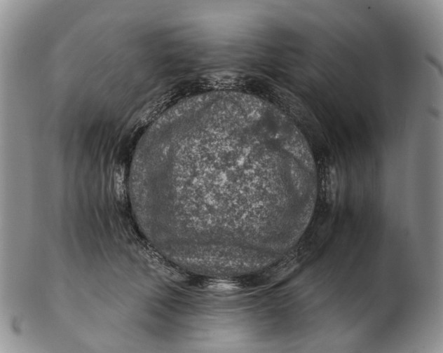 X0000103160610200809121839