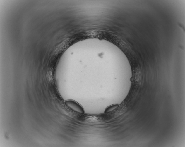 X0000103160611200809121839