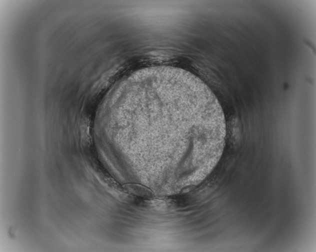 X0000103160615200809121839