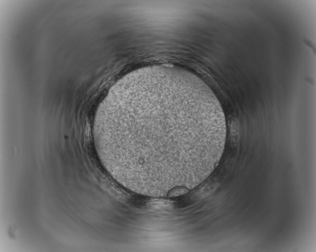 X0000103160617200809121839