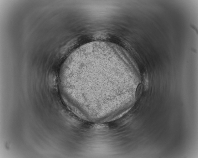 X0000103160619200809121839