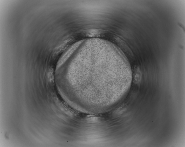 X0000103160620200809121839