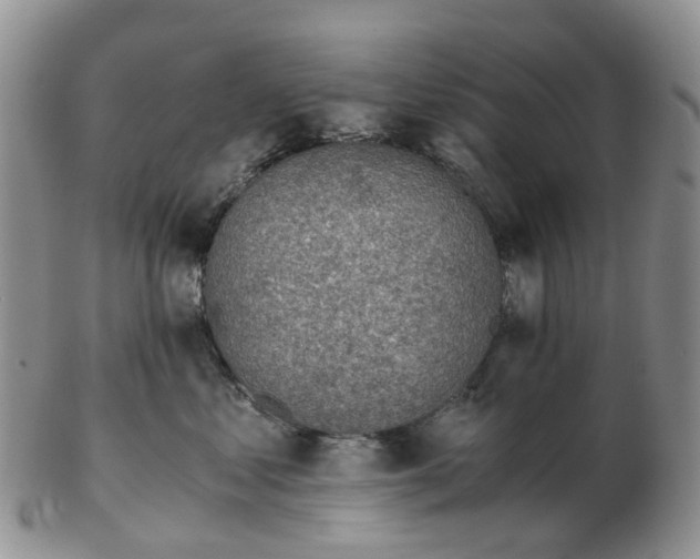 X0000103160621200809121839