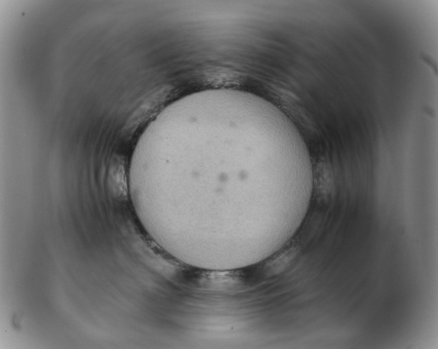 X0000103160622200809121839