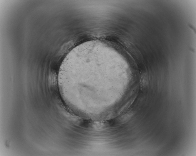 X0000103160623200809121839