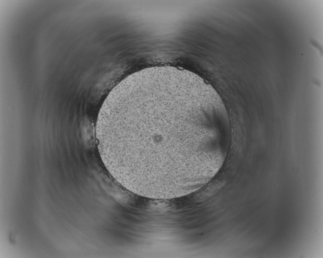 X0000103160624200809121839