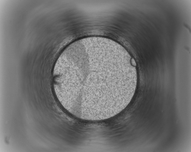 X0000103160625200809121838