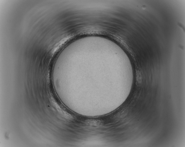 X0000103160629200809121839