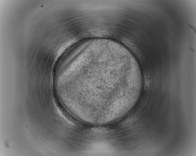 X0000103160630200809121839