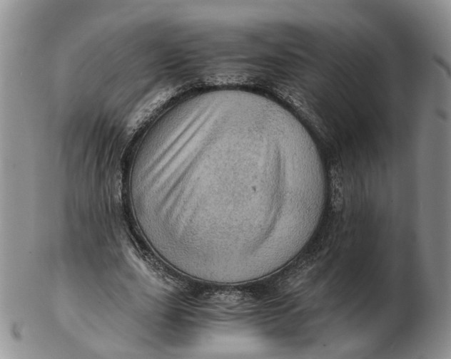 X0000103160631200809121839