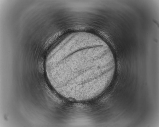 X0000103160633200809121839