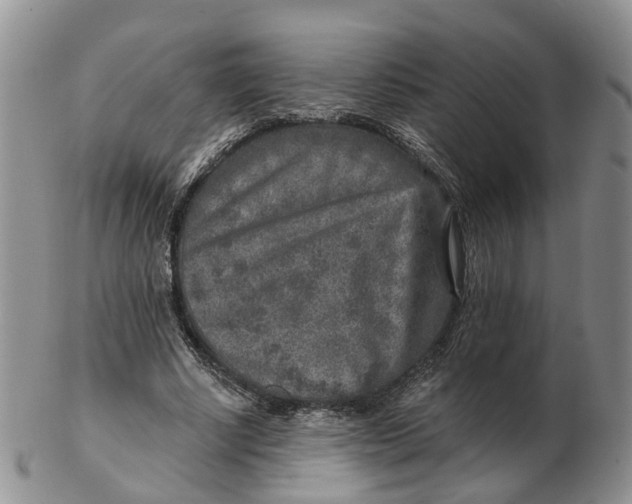 X0000103160634200809121839