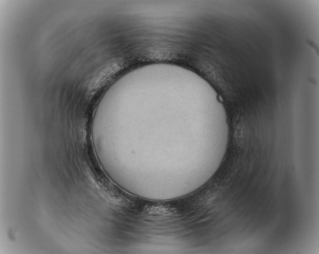 X0000103160635200809121839