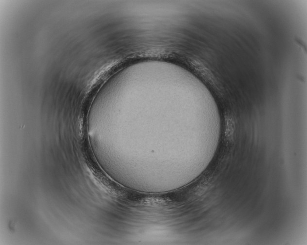 X0000103160636200809121839