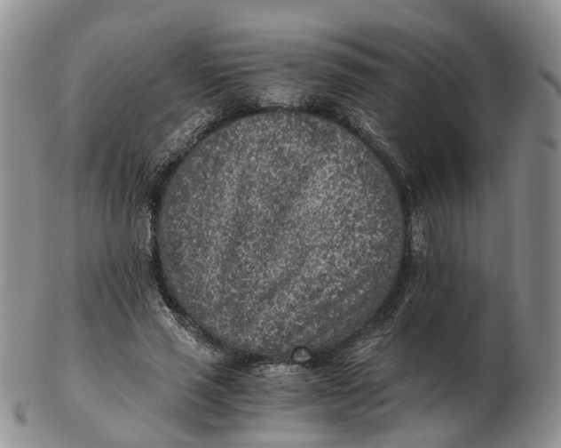 X0000103160637200809121839