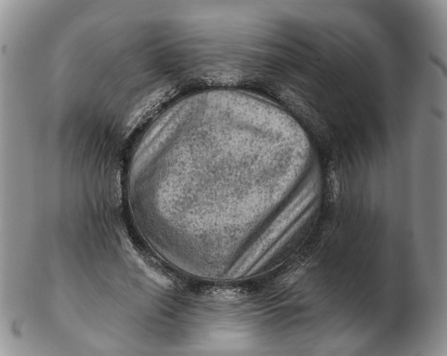 X0000103160638200809121839