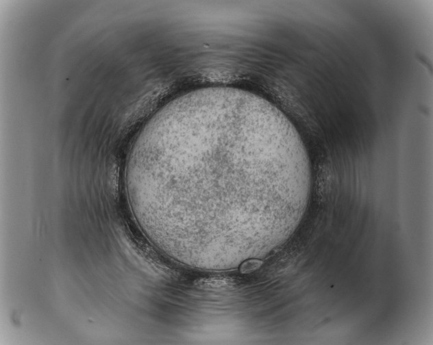 X0000103160639200809121839