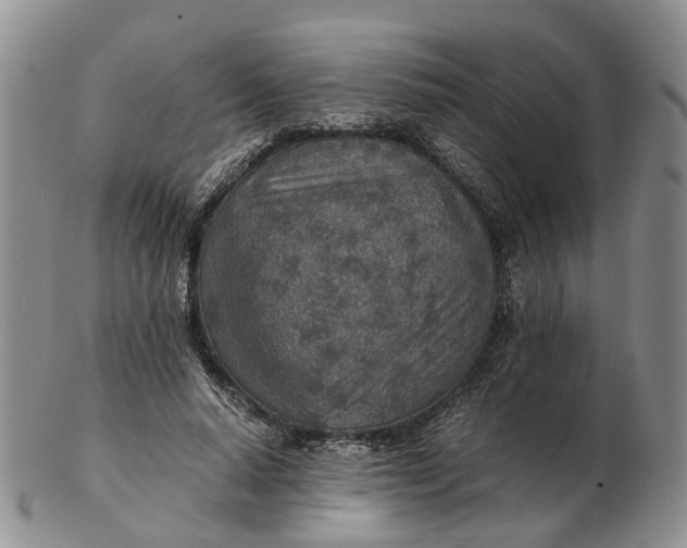 X0000103160640200809121839