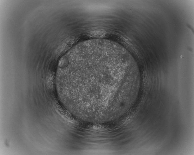 X0000103160641200809121839