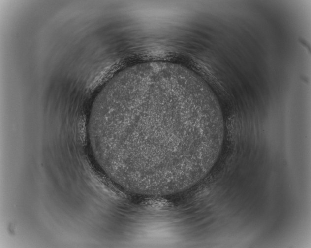 X0000103160642200809121839