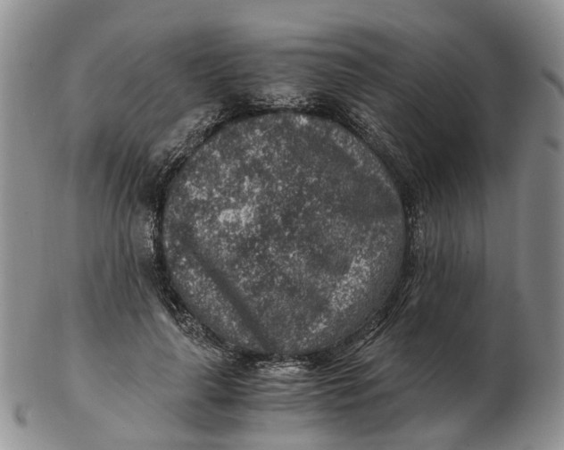 X0000103160643200809121839