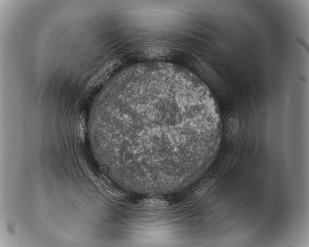 X0000103160644200809121839