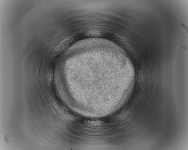 X0000103160645200809121839