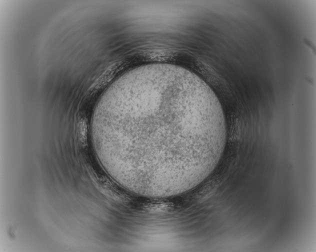 X0000103160646200809121839