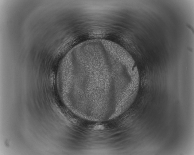 X0000103160647200809121839