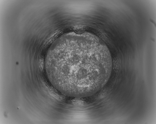 X0000103160648200809121839