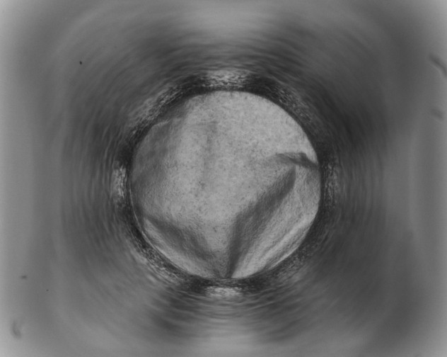 X0000103160649200809121839