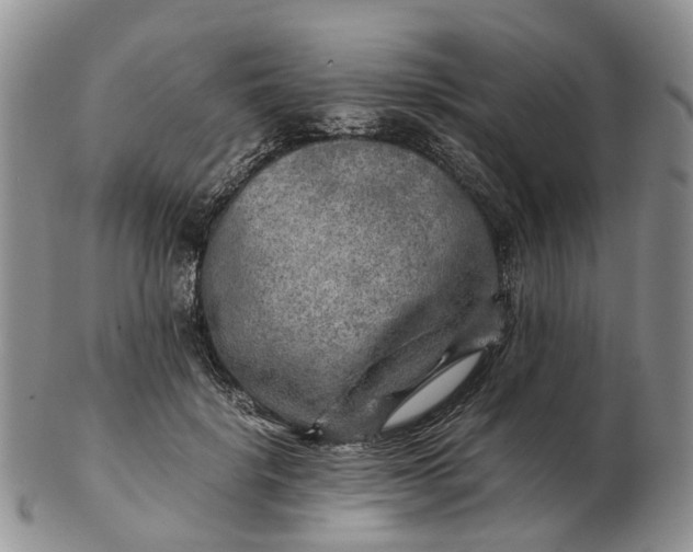 X0000103160652200809121839