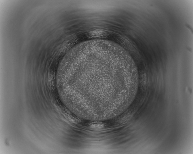 X0000103160653200809121839