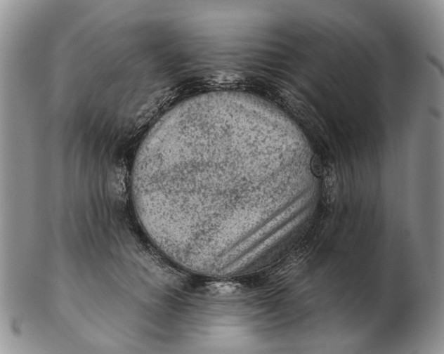 X0000103160654200809121839