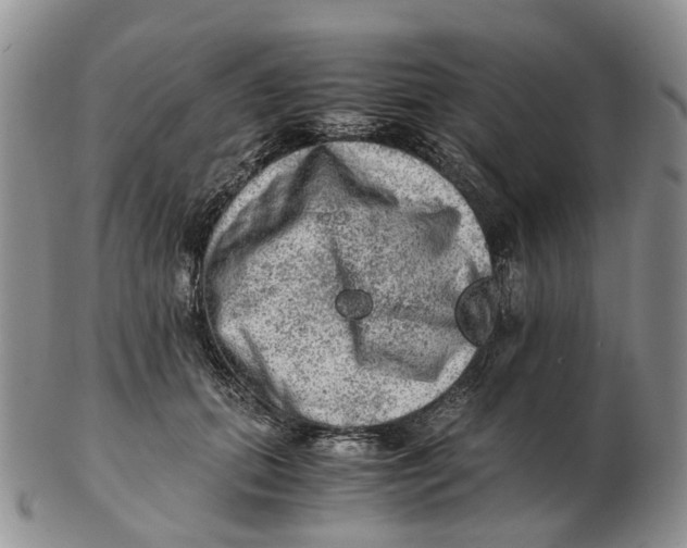 X0000103160655200809121839