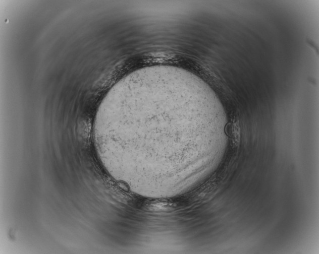 X0000103160657200809121839