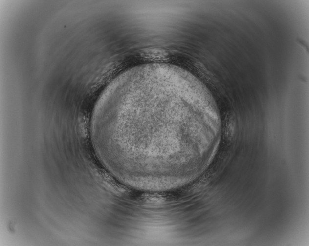 X0000103160658200809121839