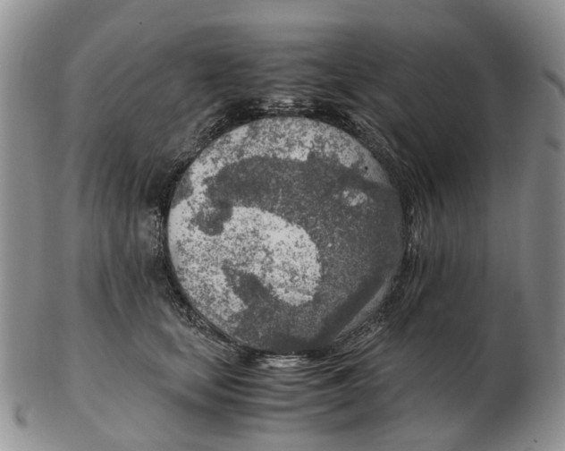 X0000103160659200809121839