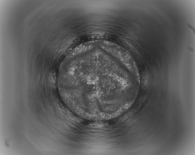 X0000103160661200809121839