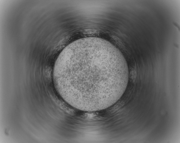 X0000103160662200809121839