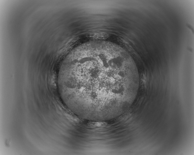 X0000103160663200809121839