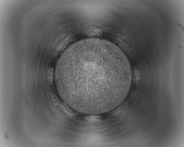 X0000103160664200809121839